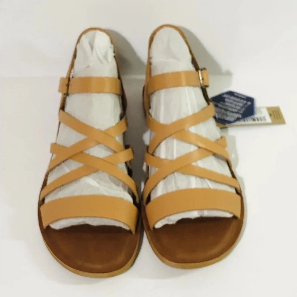 Toms nib sephina